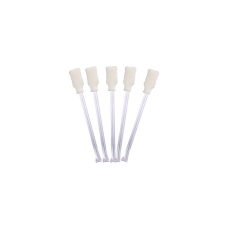 Cleaning swabs (507377-001)